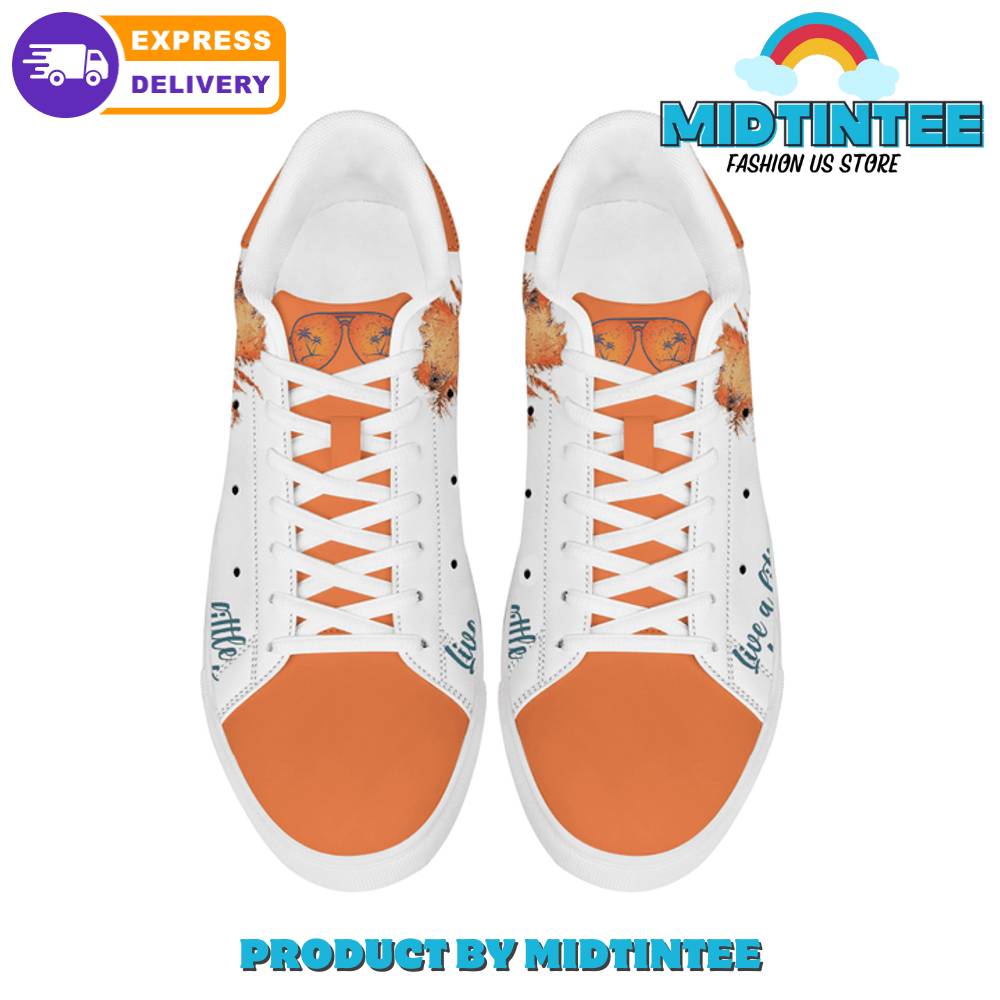 Kenny Chesney Live A Little Love A Lot Stan Smith Shoes